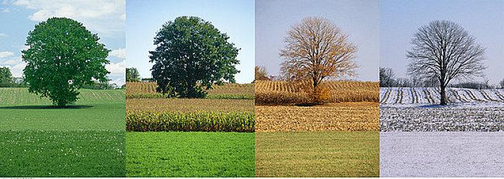 《群星》4.0版本引争议 制作人直面玩家质疑