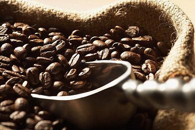 《如龙8》Steam国区页面解锁 预购售价349元